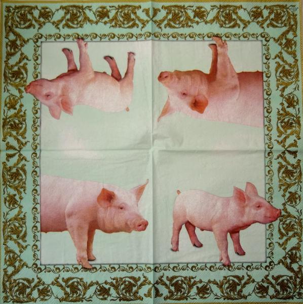 014 Pigs - 3-ply (gold) - Ihr